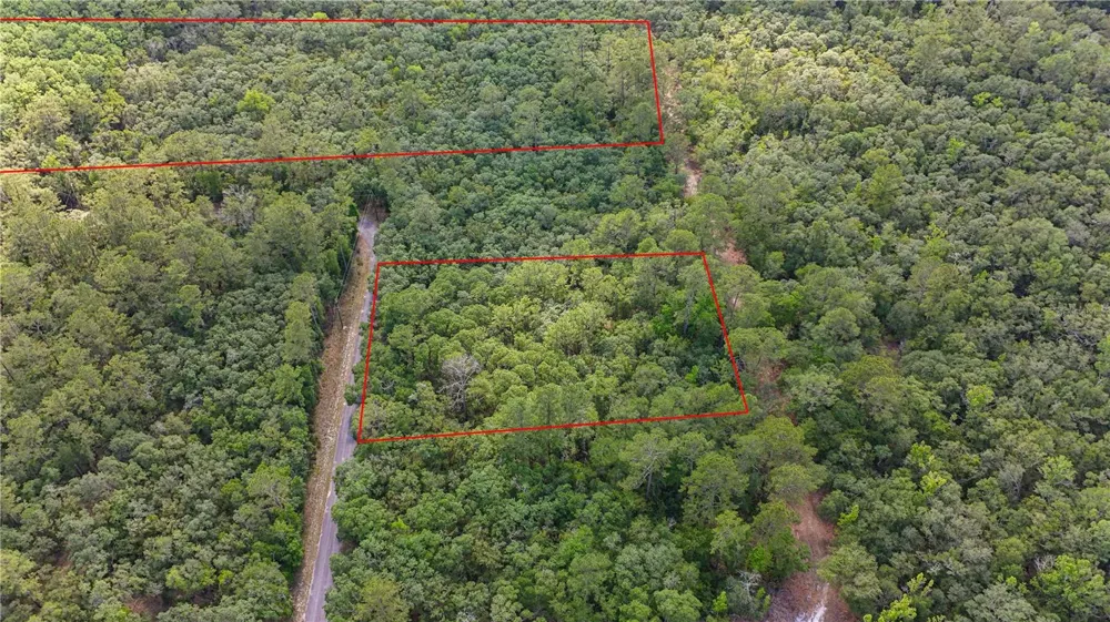 TBD OFF RIVERVIEW ROAD #9 Fanning Springs, FL 32693