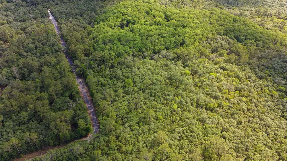 TBD OFF RIVERVIEW ROAD #9 Fanning Springs, FL 32693
