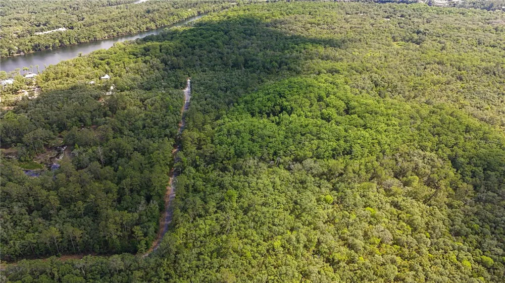 TBD OFF RIVERVIEW ROAD #9 Fanning Springs, FL 32693