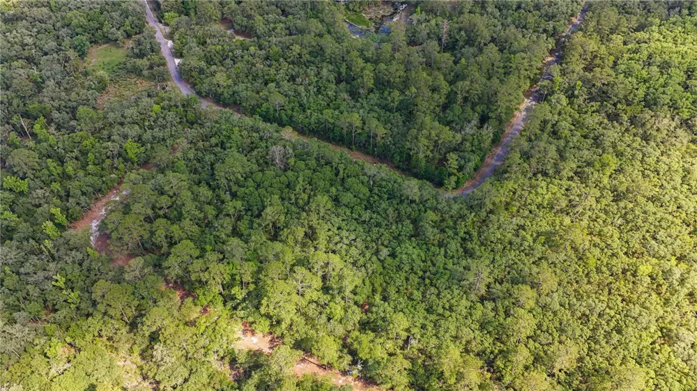 TBD OFF RIVERVIEW ROAD #9 Fanning Springs, FL 32693