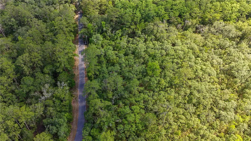 TBD OFF RIVERVIEW ROAD #9 Fanning Springs, FL 32693