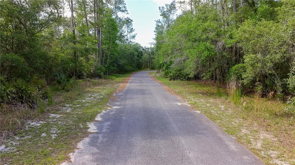 TBD OFF RIVERVIEW ROAD #9 Fanning Springs, FL 32693