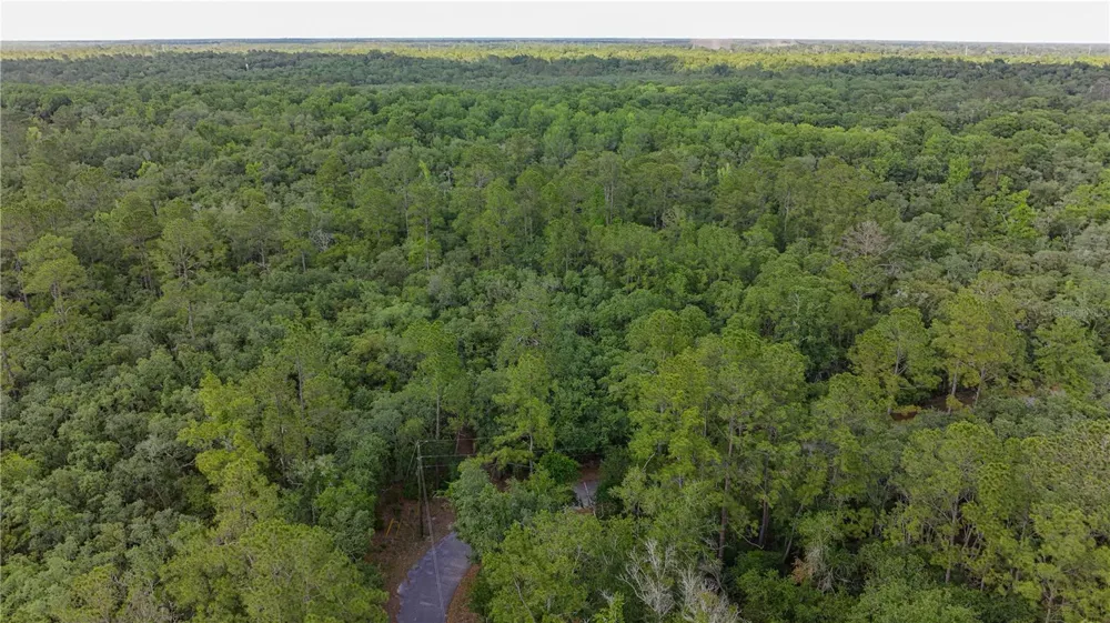 TBD OFF RIVERVIEW ROAD #9 Fanning Springs, FL 32693
