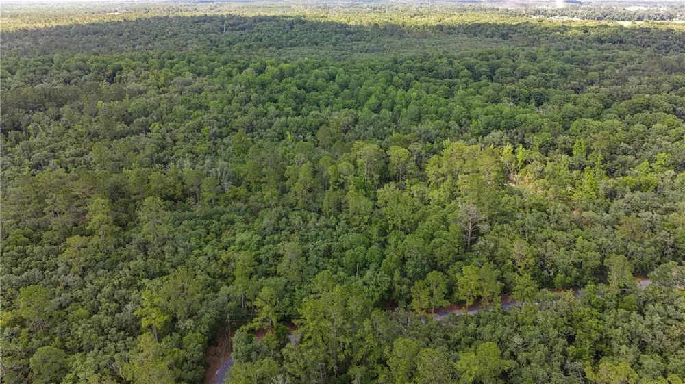 TBD OFF RIVERVIEW ROAD #9 Fanning Springs, FL 32693