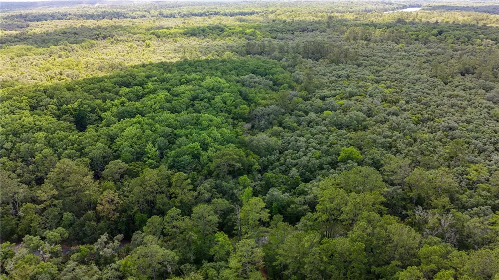 TBD OFF RIVERVIEW ROAD #9 Fanning Springs, FL 32693