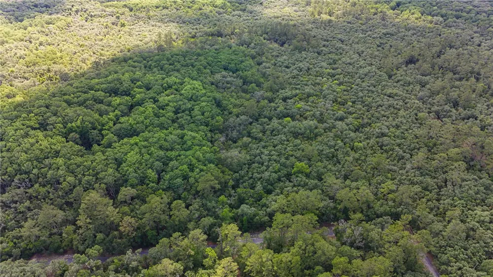 TBD OFF RIVERVIEW ROAD #9 Fanning Springs, FL 32693