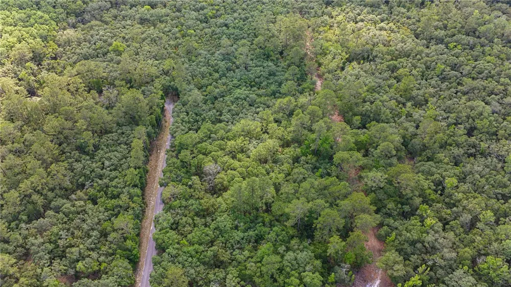 TBD OFF RIVERVIEW ROAD #9 Fanning Springs, FL 32693