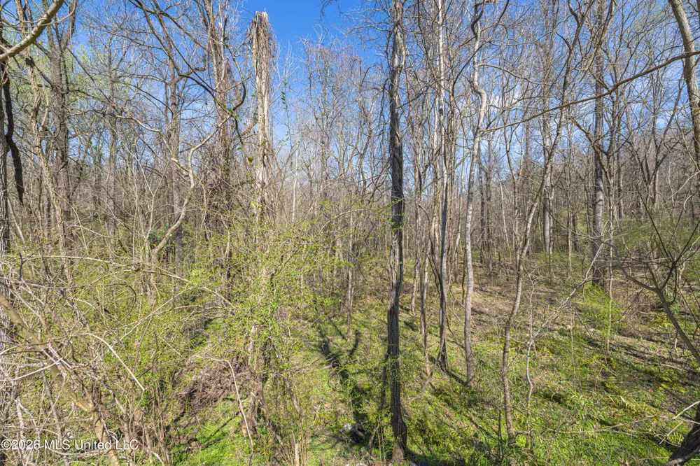 0 Reed Wilson Road Vicksburg, MS 39183