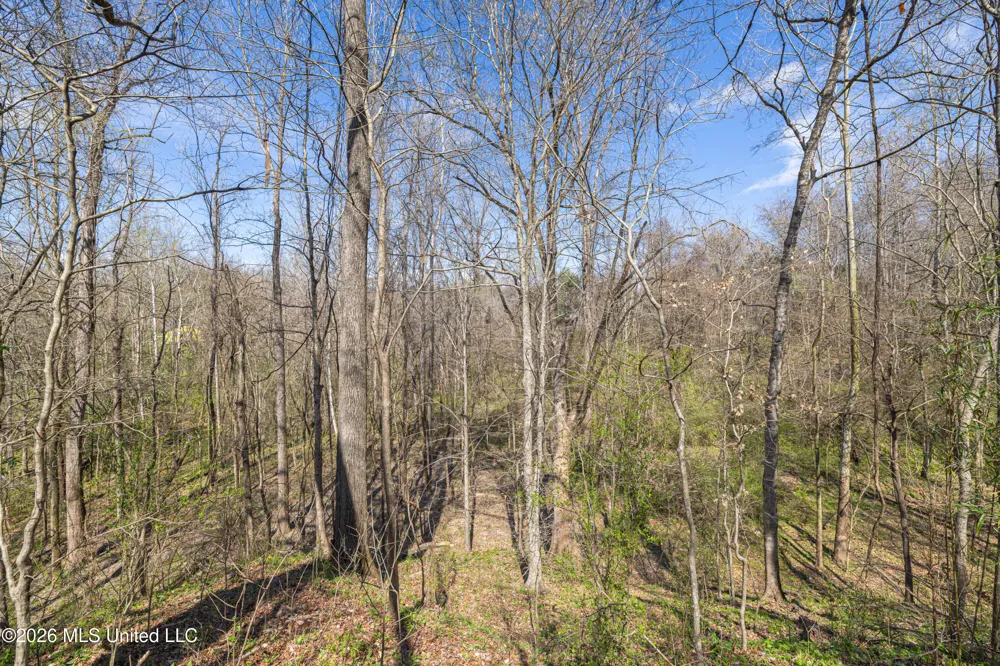 0 Reed Wilson Road Vicksburg, MS 39183