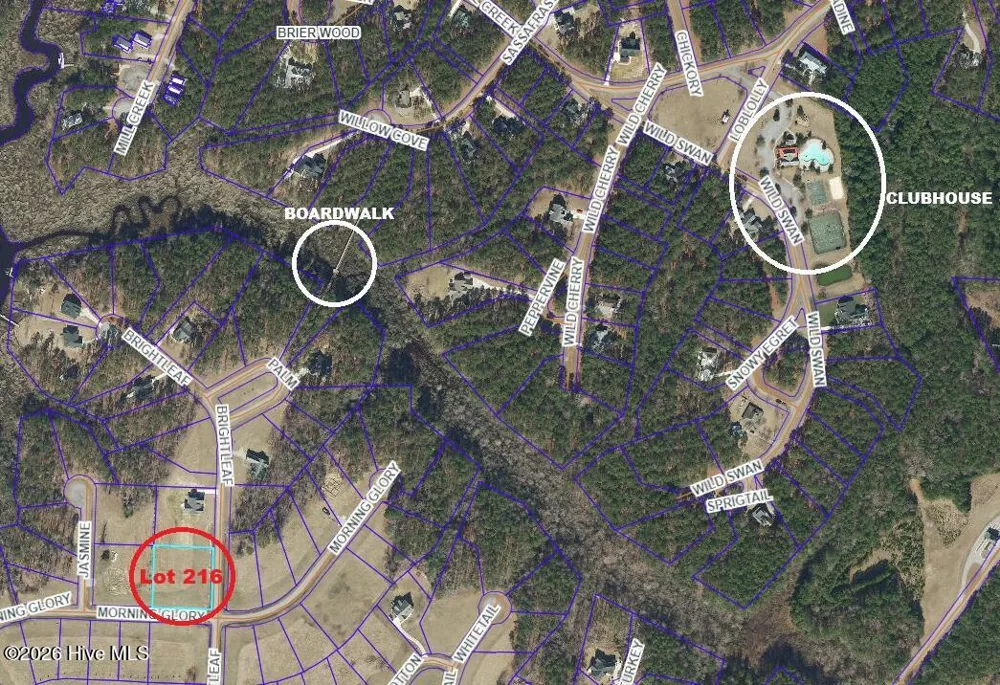 91 Brightleaf Drive Minnesott Beach, NC 28510
