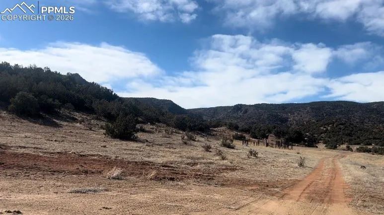 Lot 10 Rice Mountain Way Canon City, CO 81212