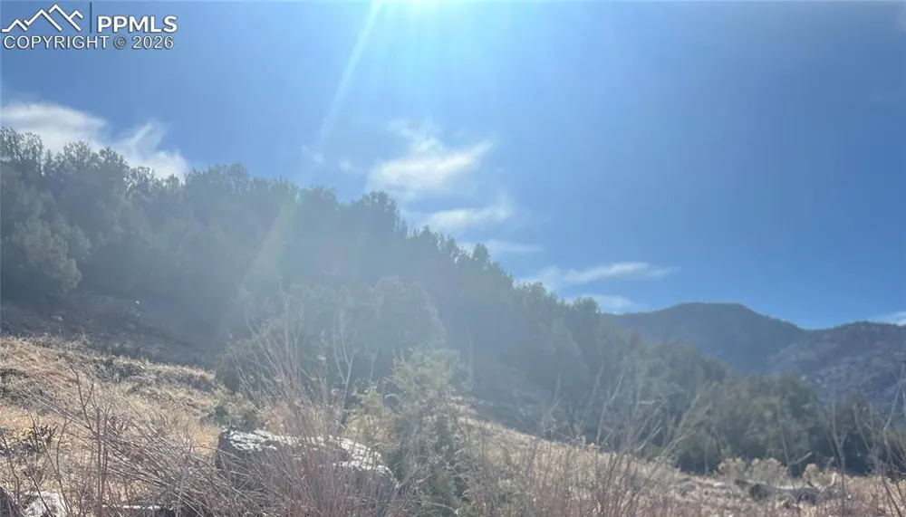 Lot 10 Rice Mountain Way Canon City, CO 81212