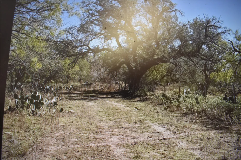 5030 Fm 2504 Poteet, TX 78065