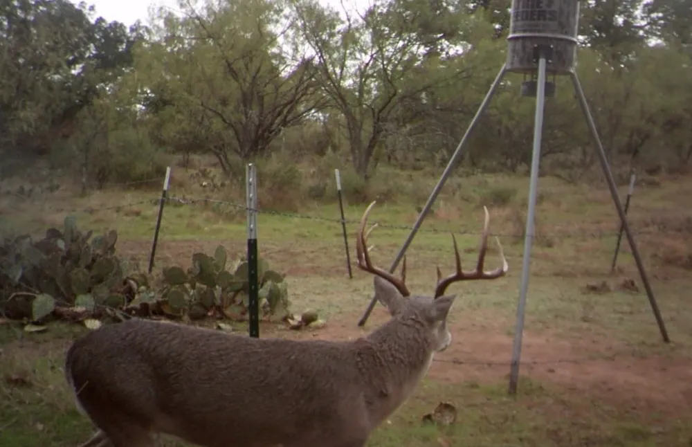 RR 152 Llano, TX 78643