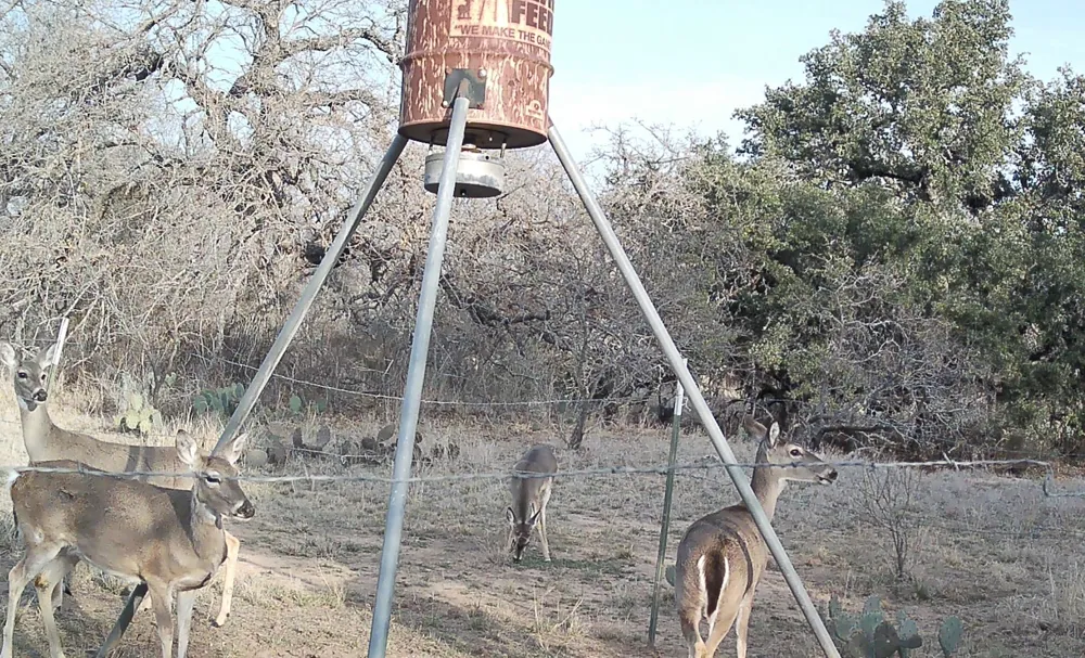 RR 152 Llano, TX 78643