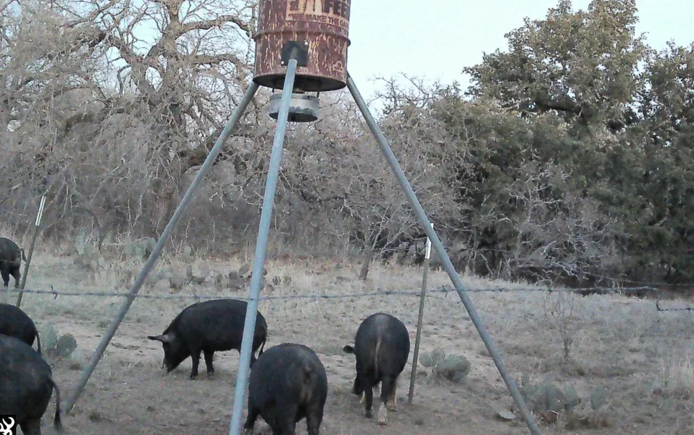 RR 152 Llano, TX 78643