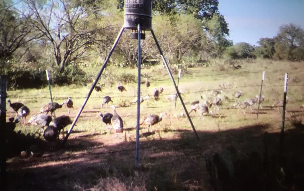 RR 152 Llano, TX 78643