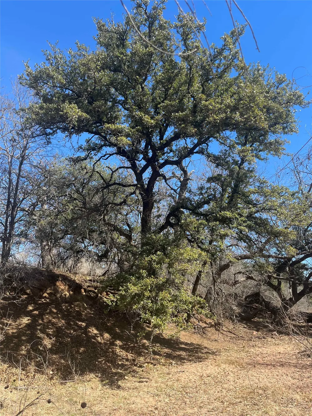 RR 152 Llano, TX 78643