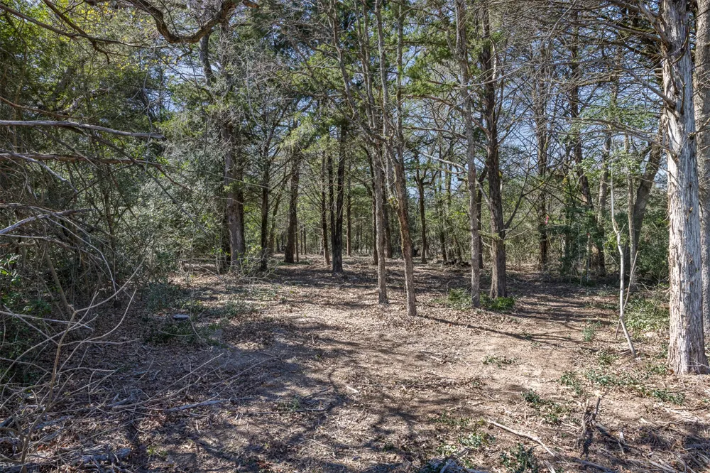 2 Pauline Lane Caldwell, TX 77836