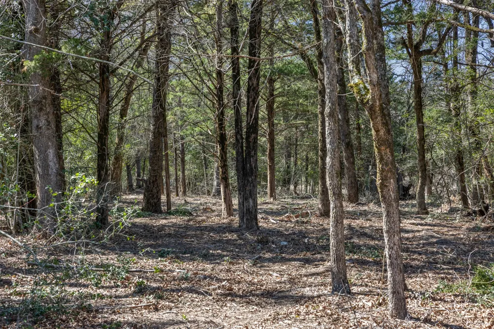 2 Pauline Lane Caldwell, TX 77836