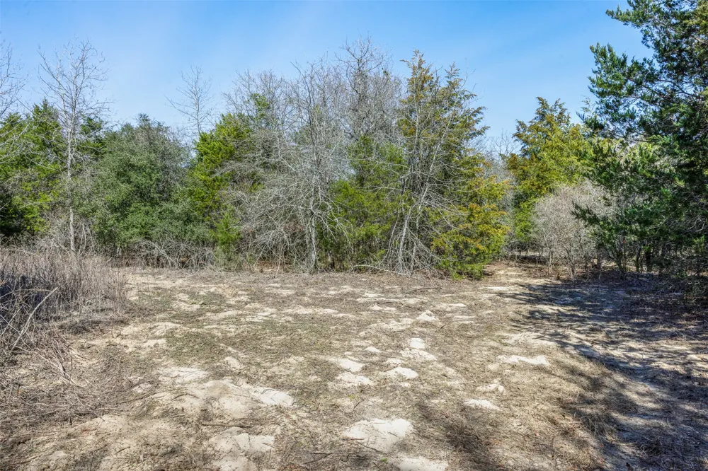 2 Pauline Lane Caldwell, TX 77836