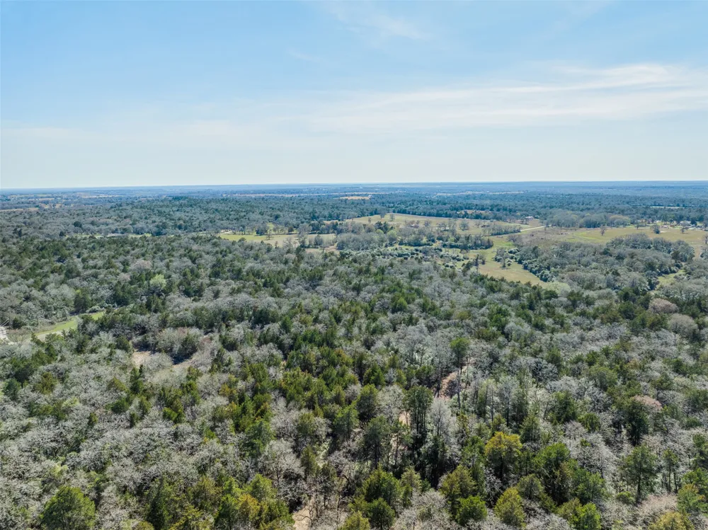 2 Pauline Lane Caldwell, TX 77836