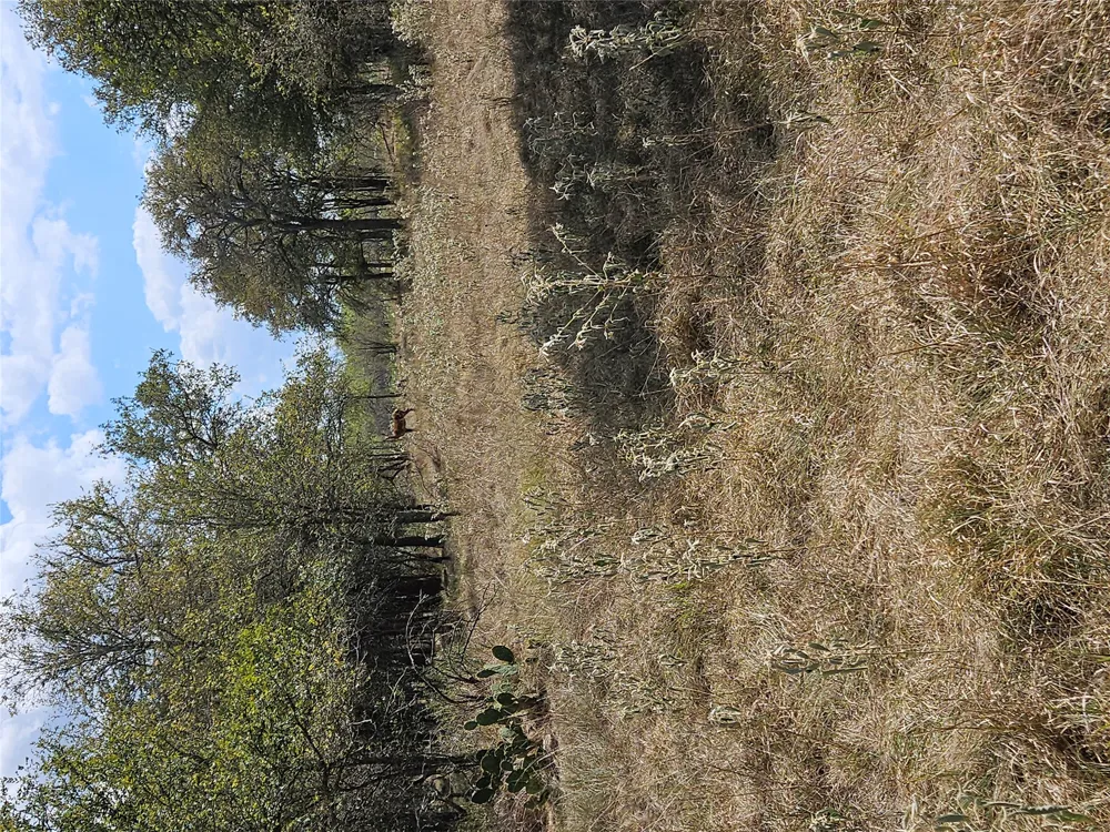1988 CR 116 ROAD Rogers, TX 76569
