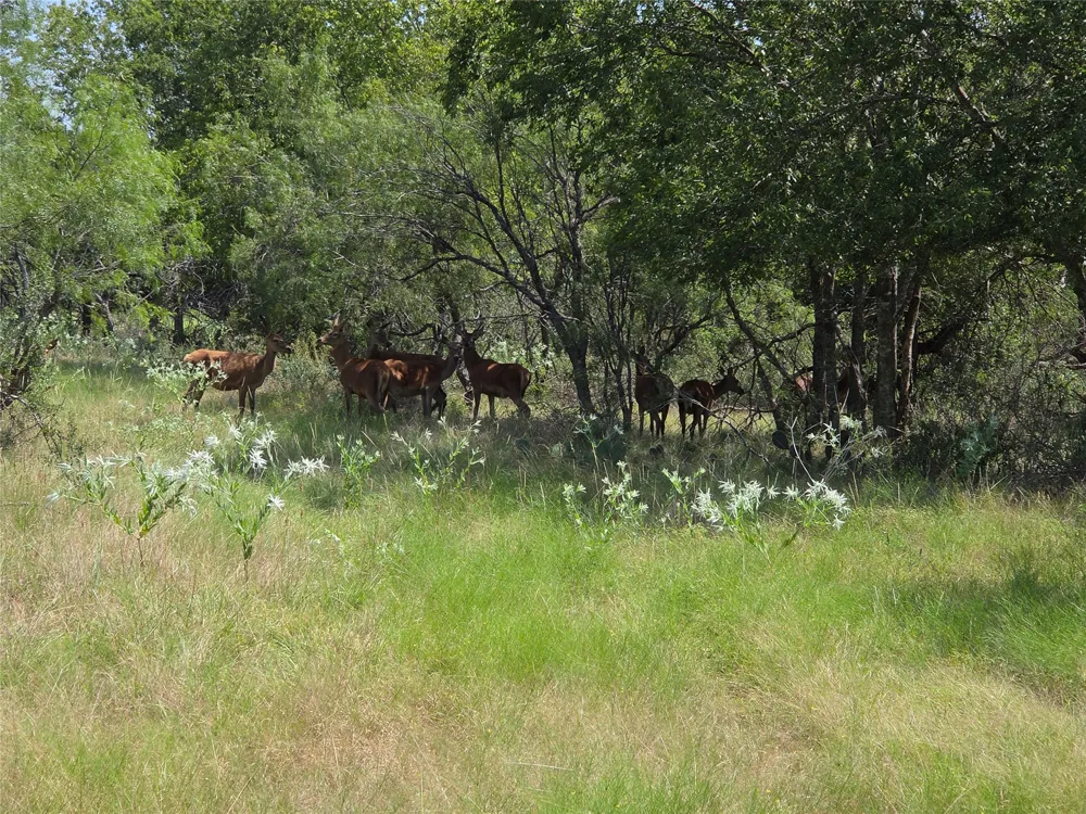 1988 CR 116 ROAD Rogers, TX 76569