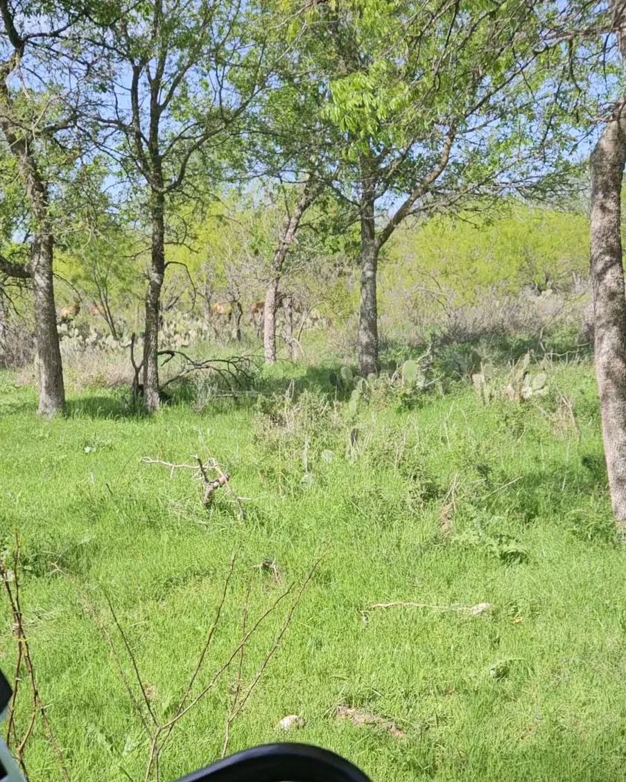 1988 CR 116 ROAD Rogers, TX 76569