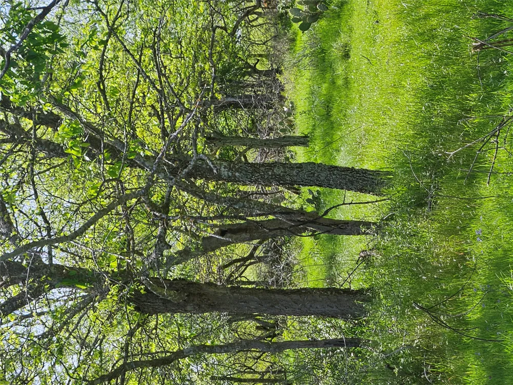 1988 CR 116 ROAD Rogers, TX 76569
