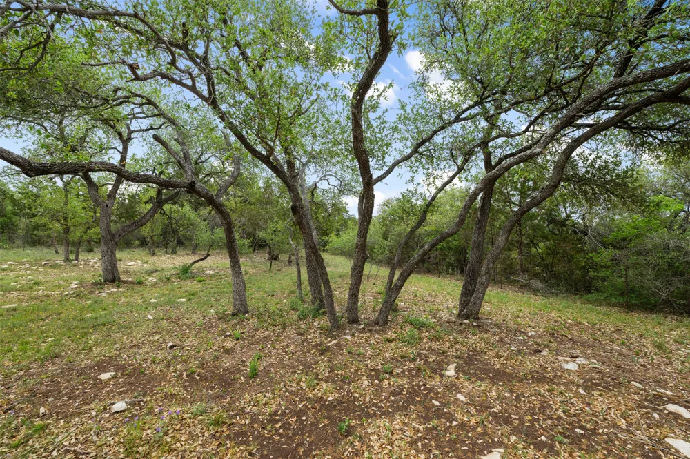 15901 Buddy Avenue Volente, TX 78641