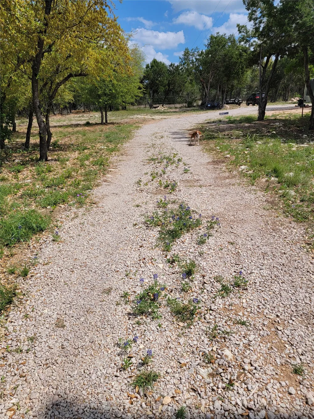 15901 Buddy Avenue Volente, TX 78641