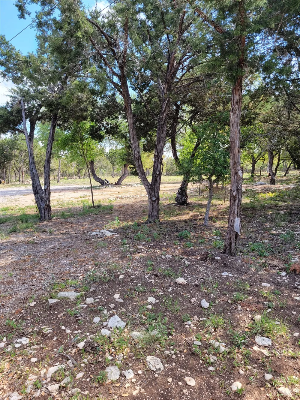 15901 Buddy Avenue Volente, TX 78641