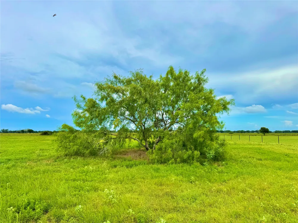 105 Pin Tail Lane Rock Island, TX 78934