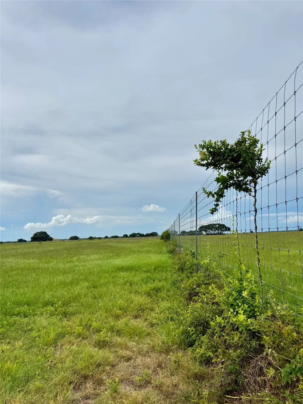 105 Pin Tail Lane Rock Island, TX 78934