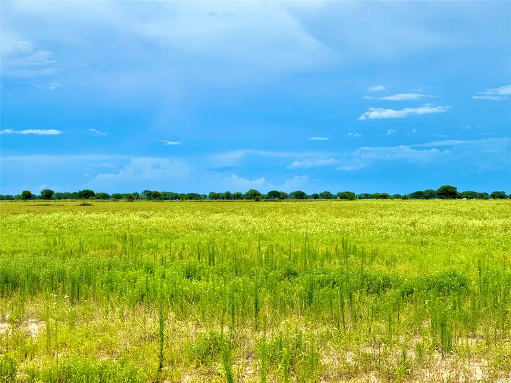 105 Pin Tail Lane Rock Island, TX 78934