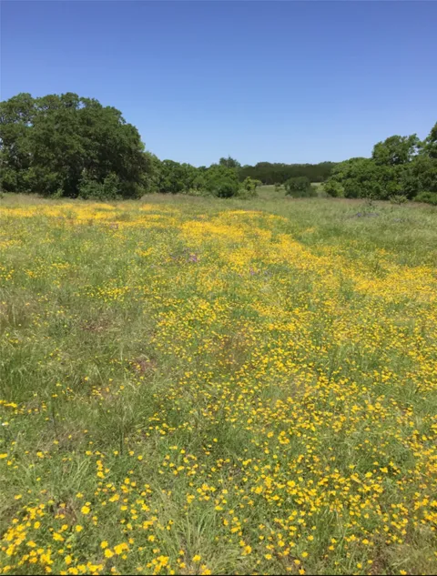 184 Moondance Trail