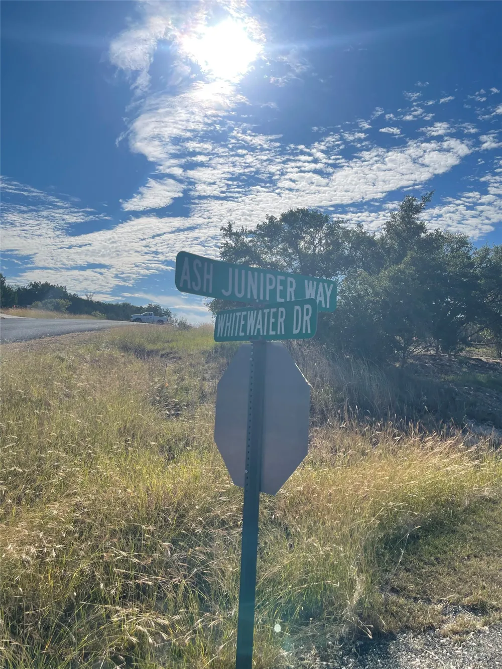 452 Whitewater Drive Bertram, TX 78605