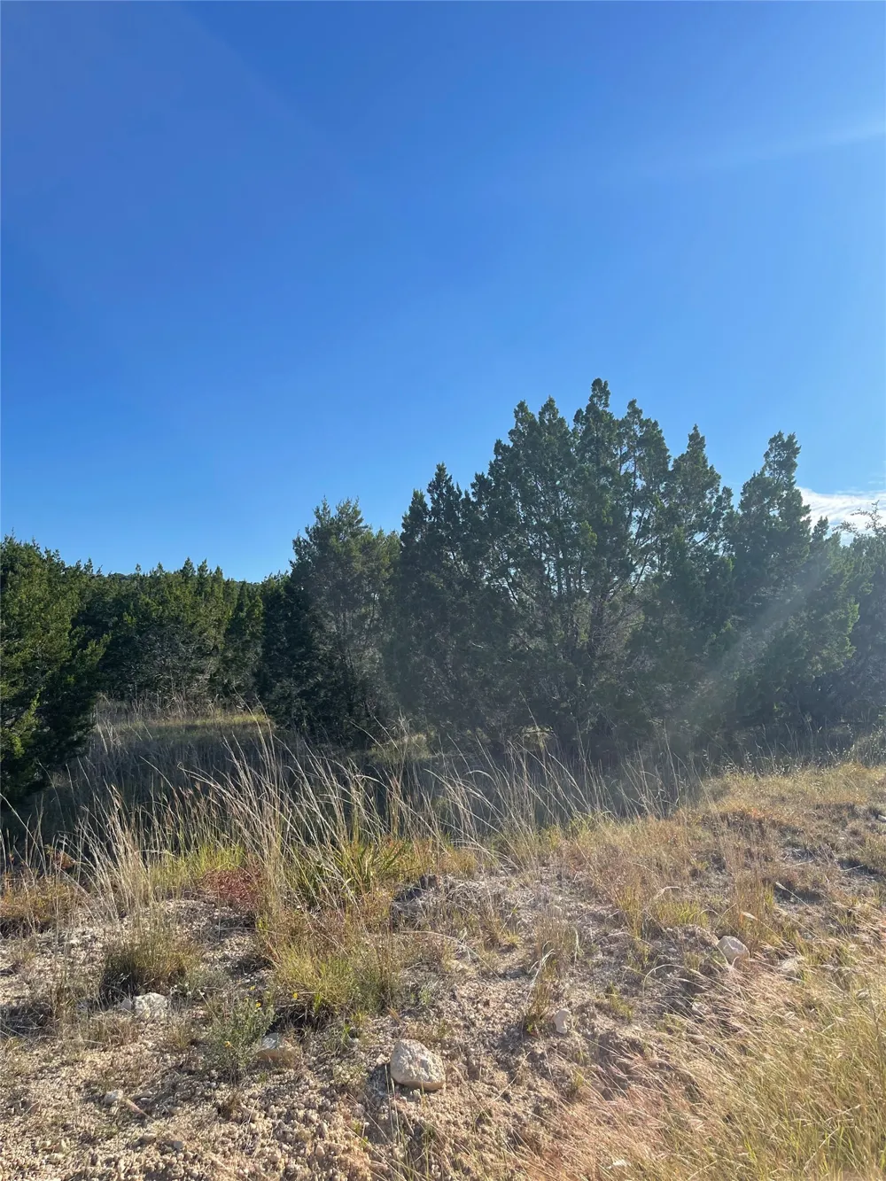 452 Whitewater Drive Bertram, TX 78605