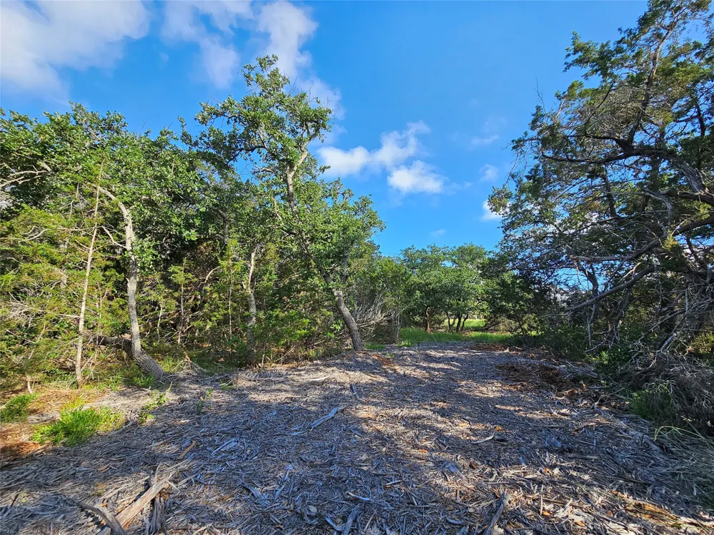 22 Riparian Elm Road Bertram, TX 78605