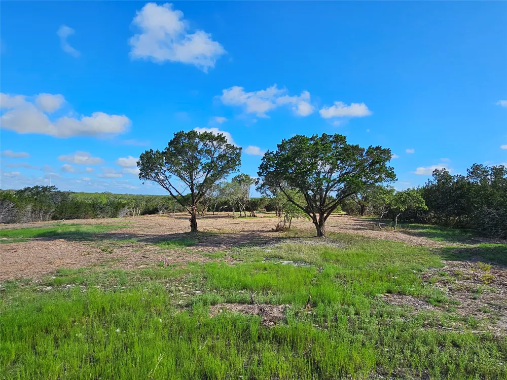 22 Riparian Elm Road Bertram, TX 78605