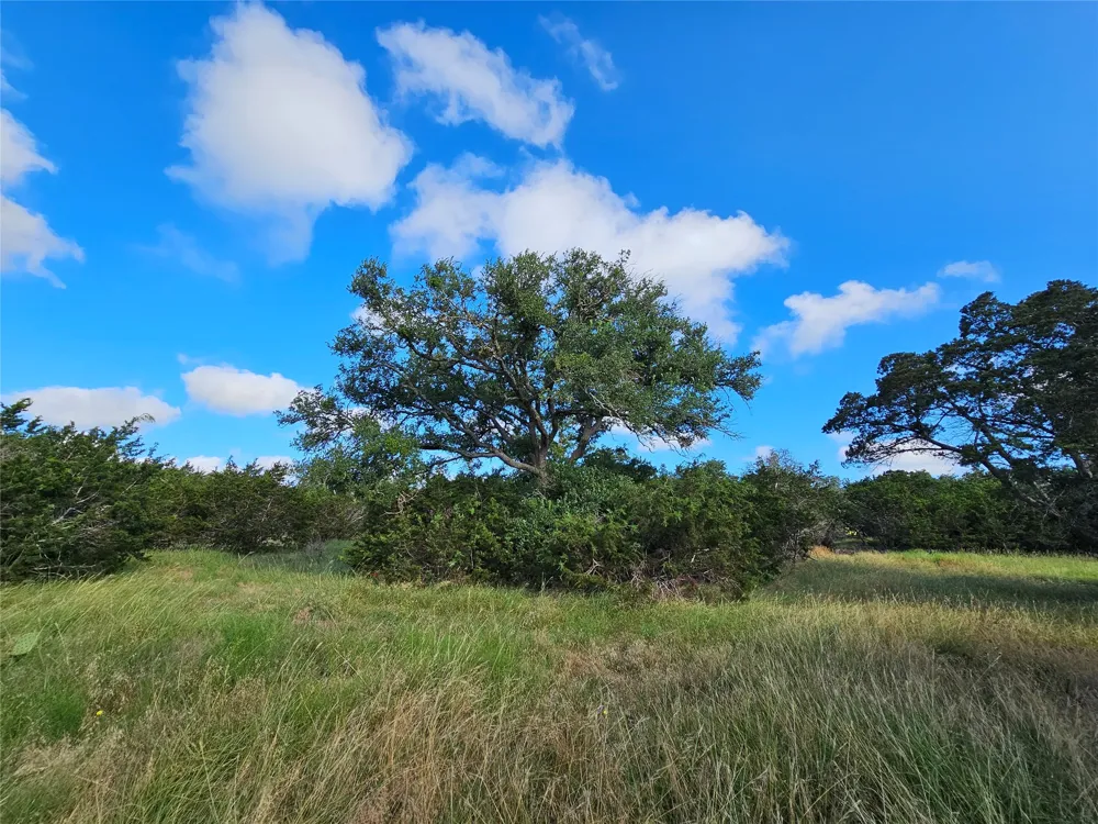 22 Riparian Elm Road Bertram, TX 78605