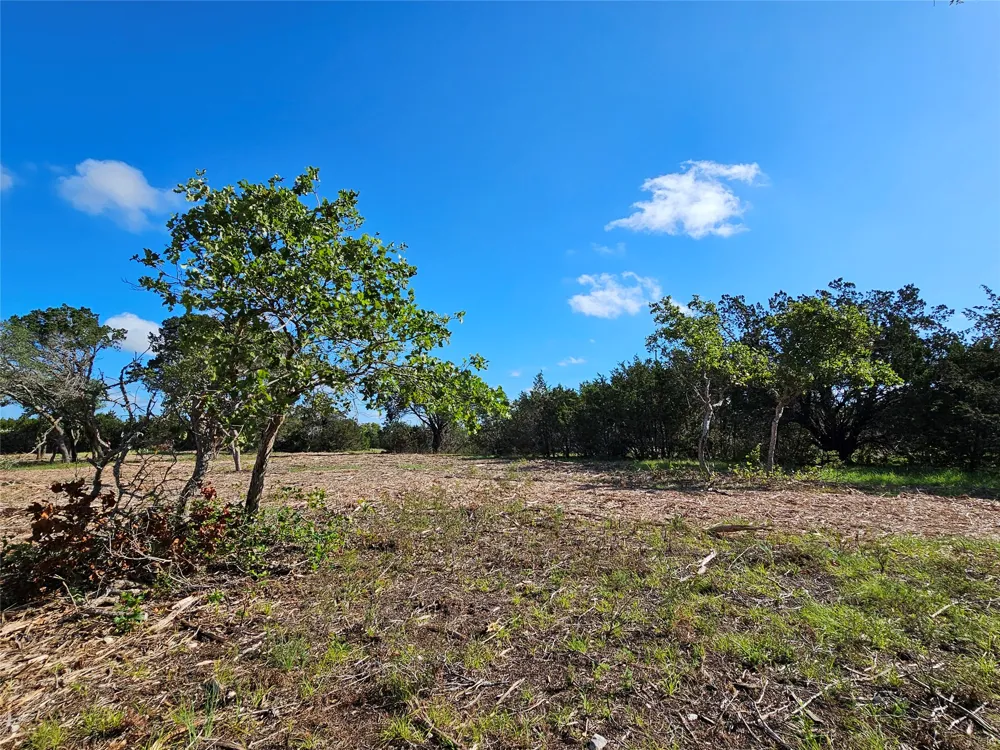 22 Riparian Elm Road Bertram, TX 78605