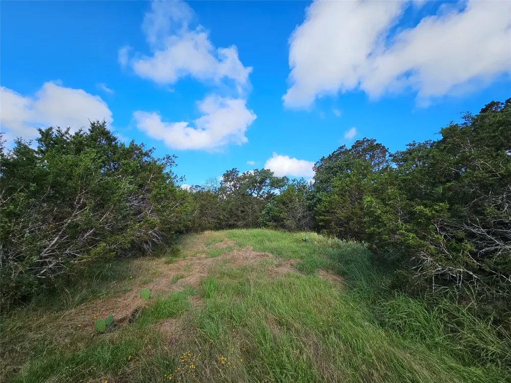 22 Riparian Elm Road Bertram, TX 78605