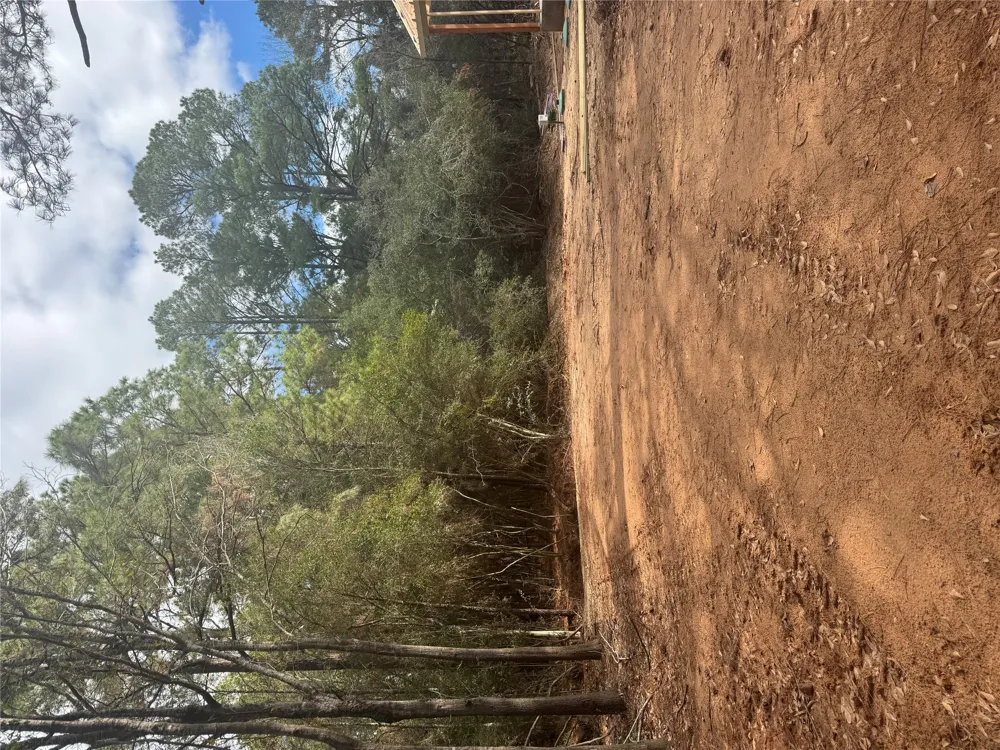 104 Pony Grass Lane Bastrop, TX 78602