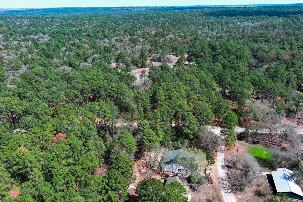 104 Pony Grass Lane Bastrop, TX 78602