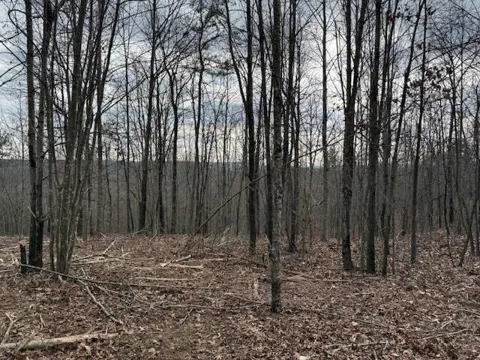 11 South Pittsburg Mountain Road