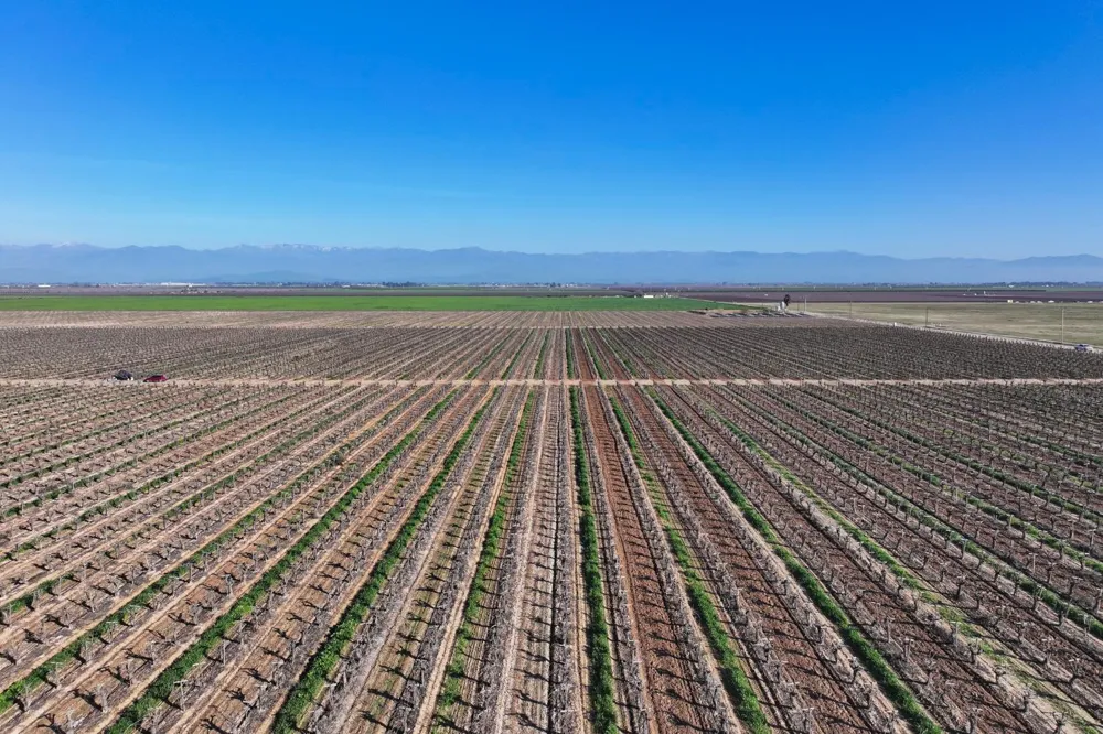 8000 Road 208 Terra Bella, CA 93270