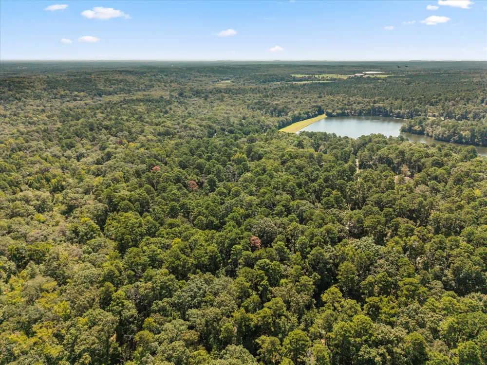 229 County Road 4554 Winnsboro, TX 75494