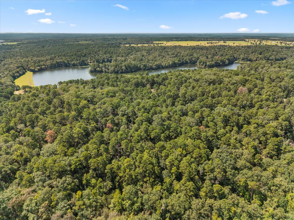 229 County Road 4554 Winnsboro, TX 75494